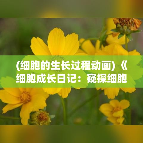 (细胞的生长过程动画) 《细胞成长日记：窥探细胞分裂与繁衍的奥秘之旅》——揭示生命最基本单位的发展历程。